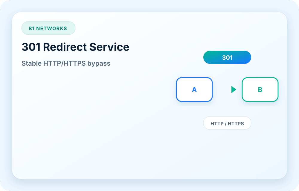 B1 Networks service visual