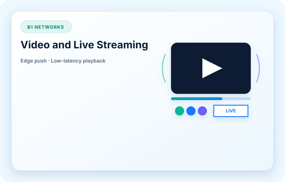 B1 Networks service visual