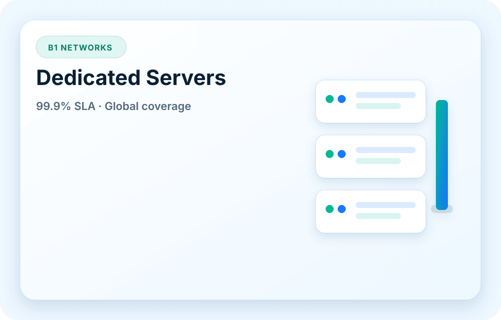 B1 Networks service visual