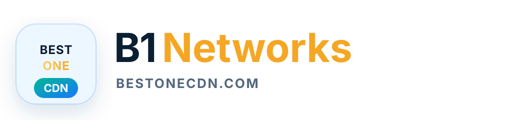 B1 Networks